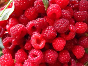 Ученые выяснили, как "красные" ягоды влияют на организм человека