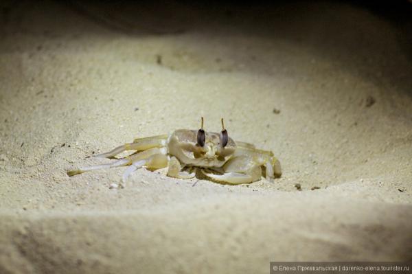 Мальдивы - рай на Земле! (ФОТО)