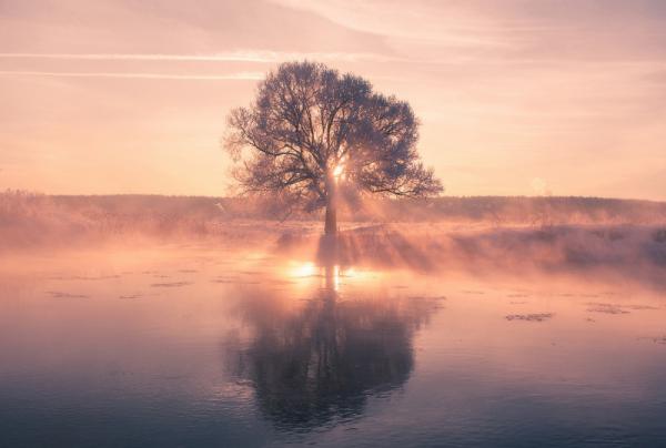 Фотограф из Белоруссии демонстрирует в своих работах истинную красоту зимы (ФОТО)