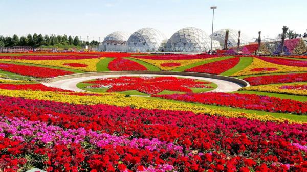 8-е чудо света: Сад цветов в Дубае (ФОТО)