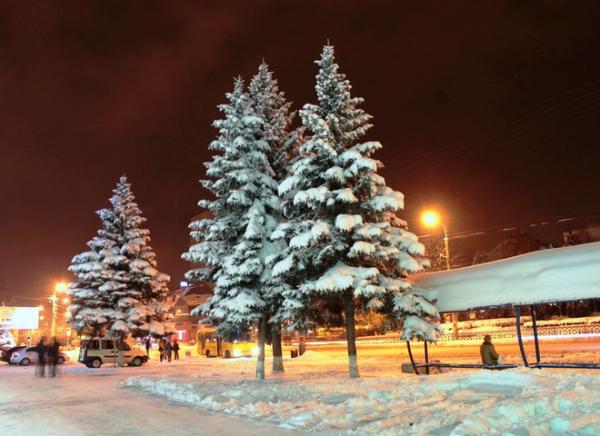 Сказочная зима в Украине (ФОТО)