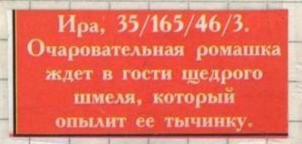 Подборка веселых брачных объявлений (ФОТО)