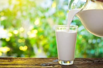 Молоко положительно влияет на память человека, - специалисты