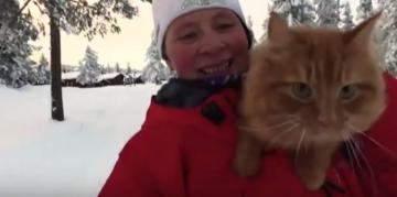 Кот в упряжке. Жительница Норвегии катается на лыжах с помощью домашнего питомца (ВИДЕО)