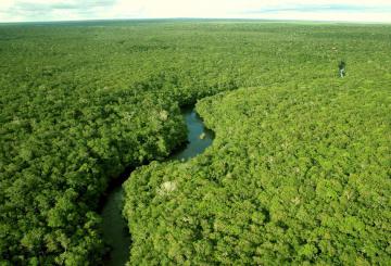 В джунглях Амазонки обнаружили кипящую реку (ФОТО)