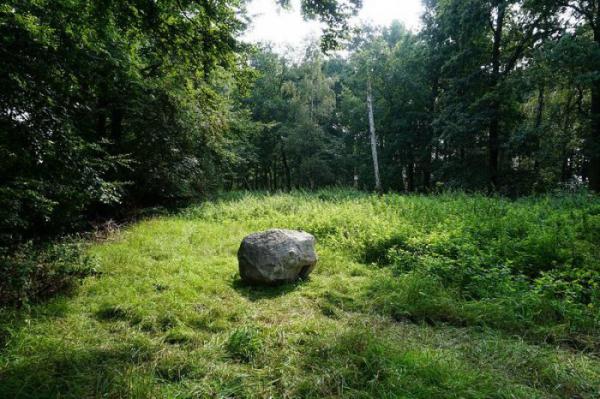 Камень с Wi-Fi и инструкцией на все случаи жизни (ФОТО)