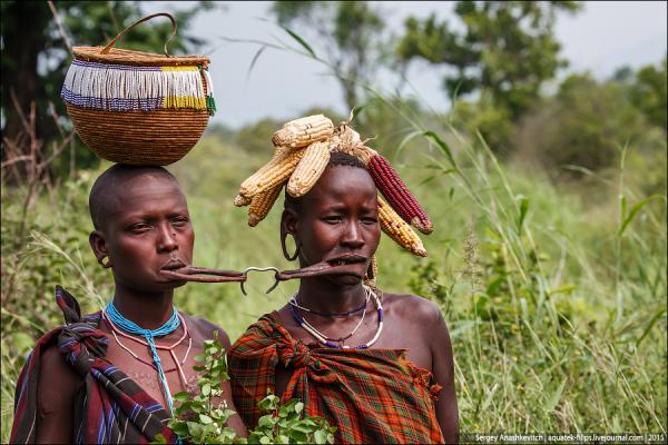 Африканские нравы. Эталон женской красоты в Эфиопии (ФОТО)