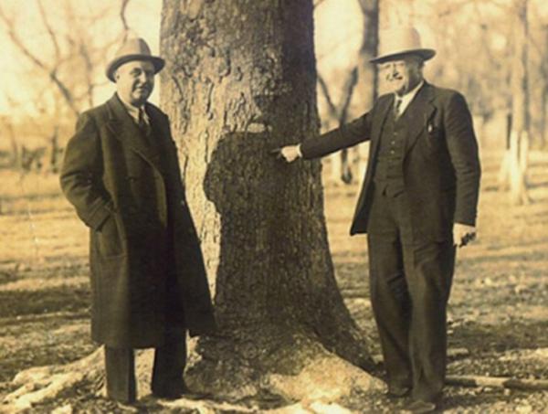 Необъяснимые совпадения, которые до сих пор будоражат умы ученых (ФОТО)