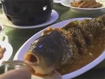 Приготовленная в ресторане рыба ожила на тарелке (ВИДЕО)