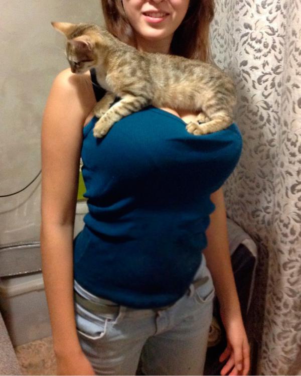 Счастливые коты и их хозяйки. Смотреть без зависти! (ФОТО)