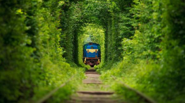 Десять главных природных чудес Украины (ФОТО)