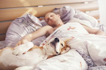 Люди, которые спят с домашними животными лучше высыпаются