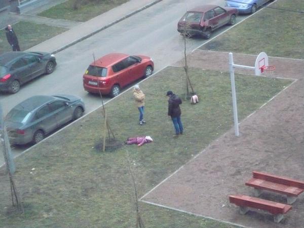 Удивительное близко. Подборка невероятных приколов (ФОТО)