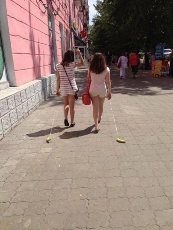 Удивительное близко. Подборка невероятных приколов (ФОТО)