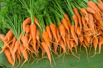 Морковь снижает риск заболевания раком
