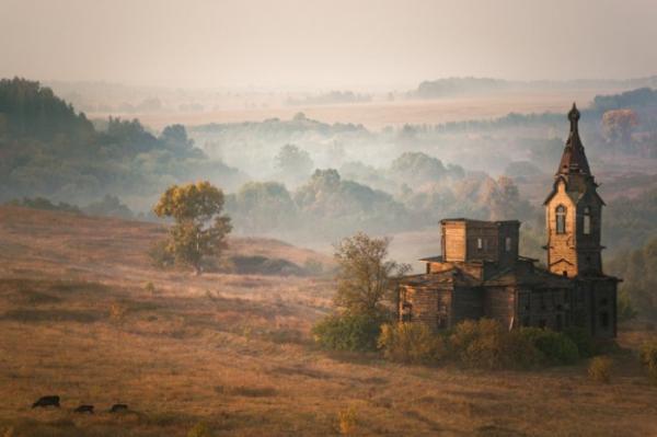 Как прекрасен этот мир! 15 финалистов знаменитого фотоконкурса (ФОТО)