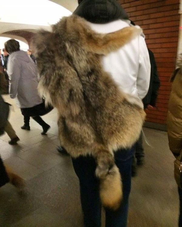 Модники в метро: осторожно, здесь может быть ваша фотография! (ФОТО) 