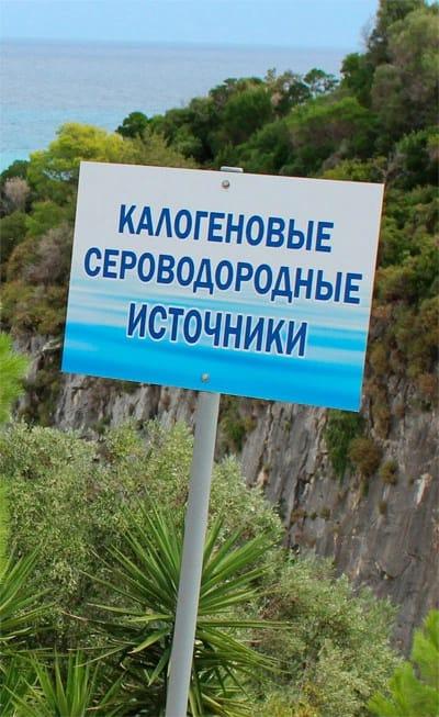 Подборка забавных снимков для поднятия настроения (ФОТО)