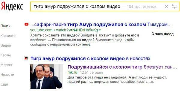 Подборка забавных снимков для поднятия настроения (ФОТО)