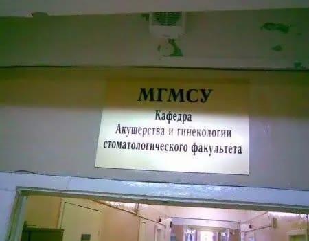 Подборка забавных снимков для поднятия настроения (ФОТО)
