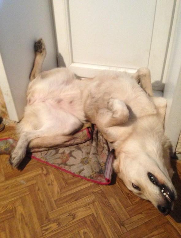 15 доказательств, что от привычки не уйдешь (ФОТО)  