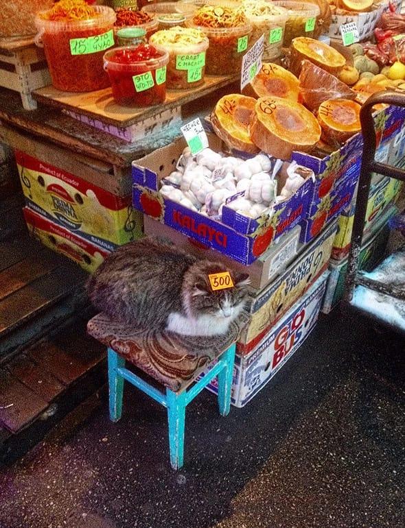 Такое можно увидеть только на рынке (ФОТО)