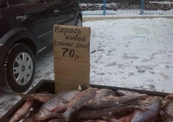 Такое можно увидеть только на рынке (ФОТО)
