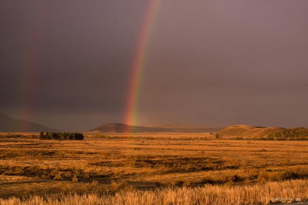 Сказочная Океания. Прогулка по Новой Зеландии (ФОТО)