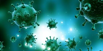 Ученые считают, что вирусы имеют иммунную систему
