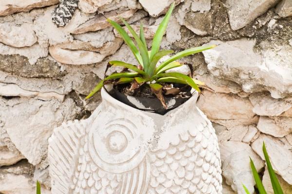 Дом-ракушка на острове Исла-Мухерес - мечта современной русалки (ФОТО)