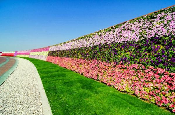 Цветочное великолепие чудо-парка в Дубае (ФОТО)