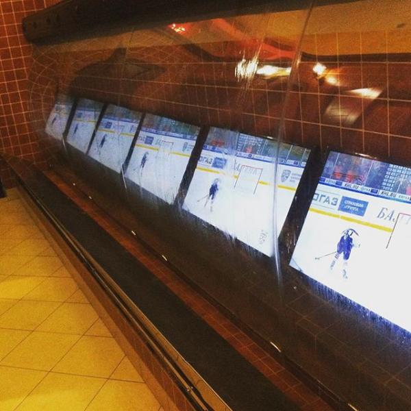 Нестандартные примеры обустройства туалетной комнаты (ФОТО)
