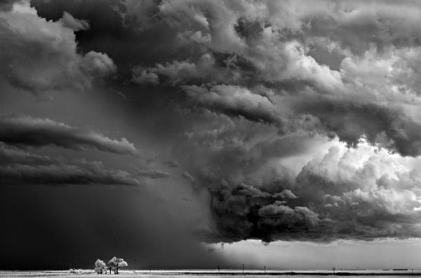 Убийственная природа. Черно-белые бури солнечной Калифорнии (ФОТО)