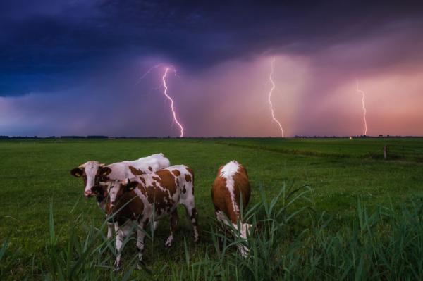Восхитительные фотографии Нидерландов (ФОТО)