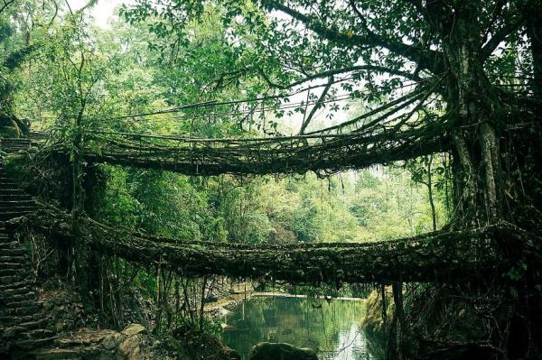 Сказочно красивые мосты из реальной жизни (ФОТО)
