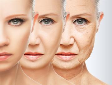 Ученые из США выяснили, что заставляет людей стареть