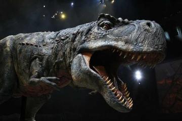 Палеонтологи нашли останки необычного тираннозавра