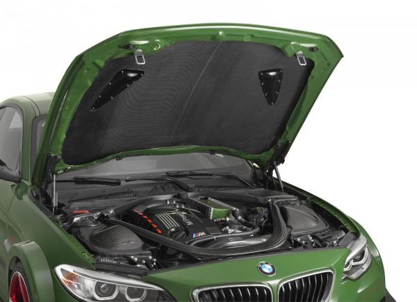 Зеленый монстр. Ателье AC Schnitzer представило купе BMW M235i (ФОТО)