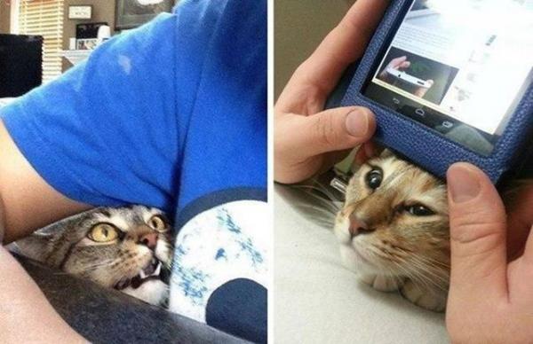 Подборка настойчивых людей, которые продолжают гнуть свою линию, несмотря ни на что (ФОТО) 