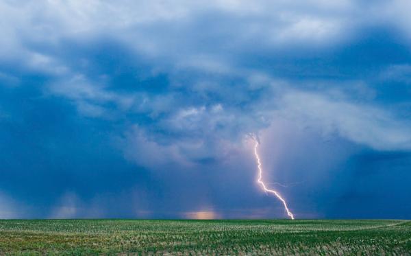 Опасная природа. Безумные кадры талантливого фотографа (ФОТО)