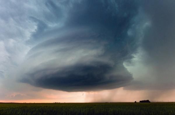 Опасная природа. Безумные кадры талантливого фотографа (ФОТО)