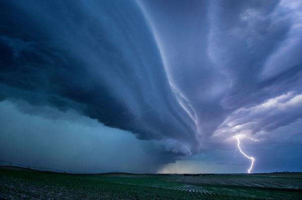 Опасная природа. Безумные кадры талантливого фотографа (ФОТО)