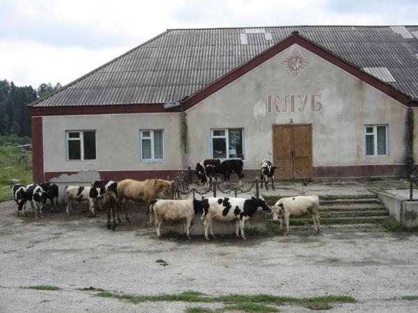Сельский гламур, или едем в соседнее село на дискотеку (ФОТО)