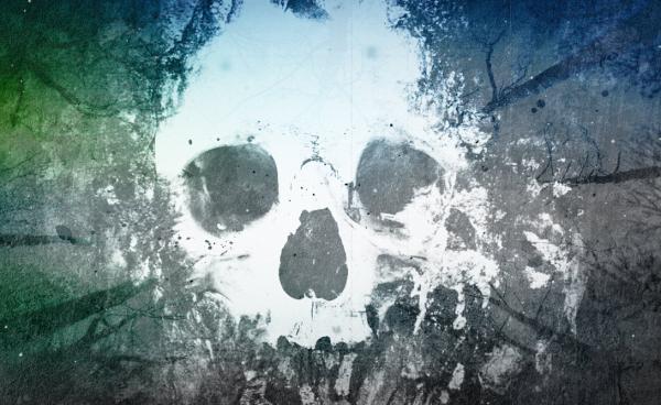 Остров Оук - мечта пирата и кладоискателя (ФОТО)