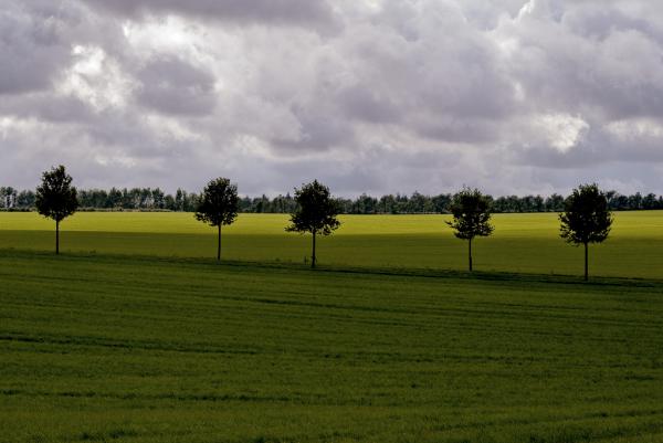 Времена года. Несравненные работы датского фотографа (ФОТО)