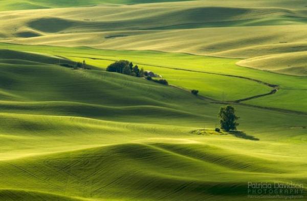 Пейзажная фотография в объективе кочевника (ФОТО)