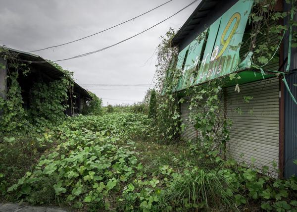 Как выглядит японский Чернобыль. Фукусима - 5 лет после аварии (ФОТО)