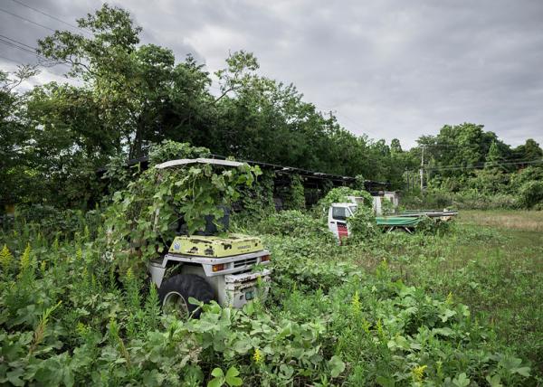 Как выглядит японский Чернобыль. Фукусима - 5 лет после аварии (ФОТО)