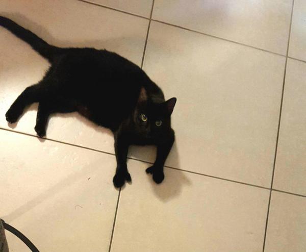 10 странных фотографий, которые вызывают восторг и ужас (ФОТО)