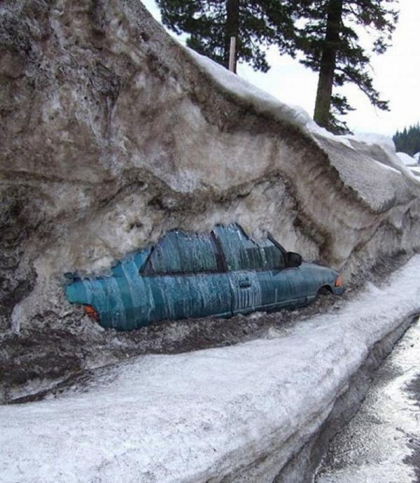 10 странных фотографий, которые вызывают восторг и ужас (ФОТО)